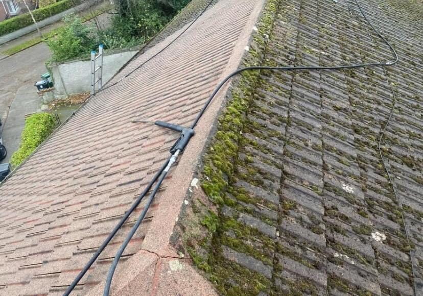 Roof Cleaning Sealing Services Meath Drogheda Kildare Offaly